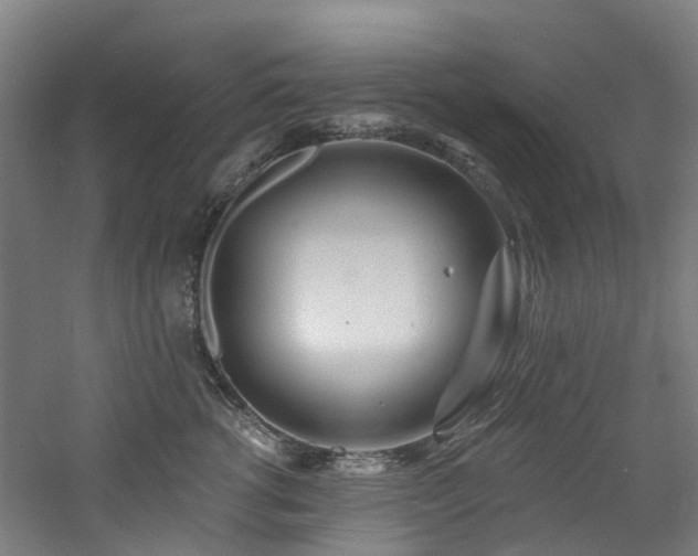 X0000060740762200511101107