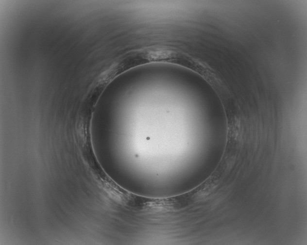 X0000060740763200511101108