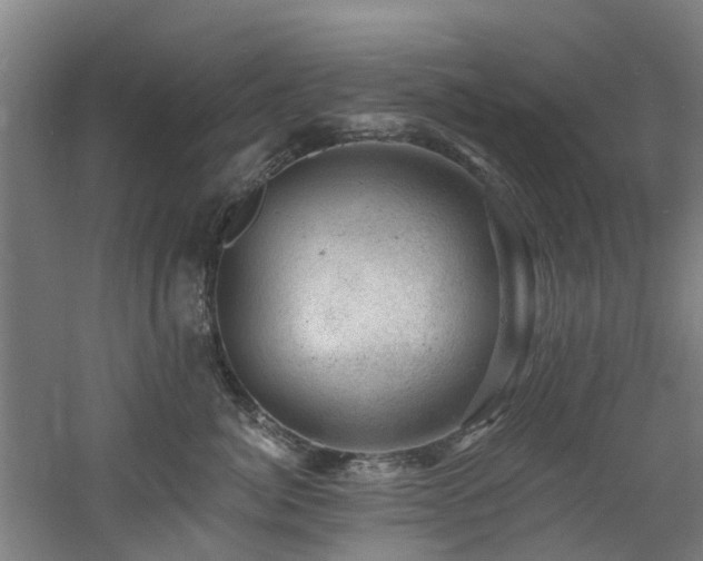 X0000060740764200511101108