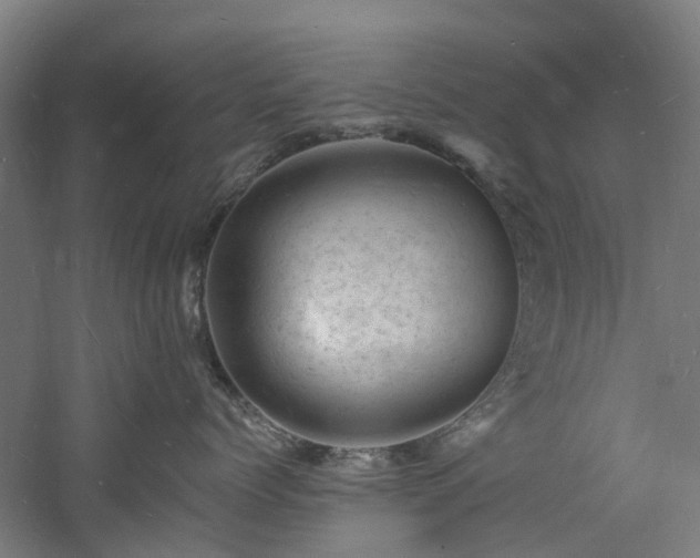 X0000060740768200511101108