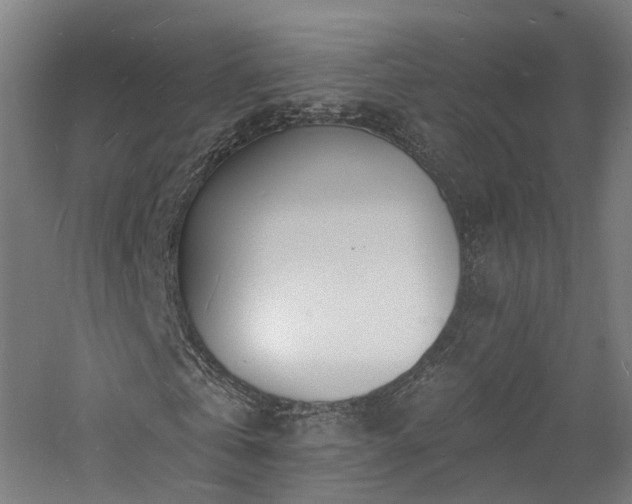 X0000060740769200511101107