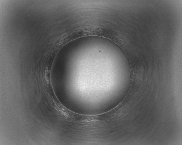 X0000060740770200511101107