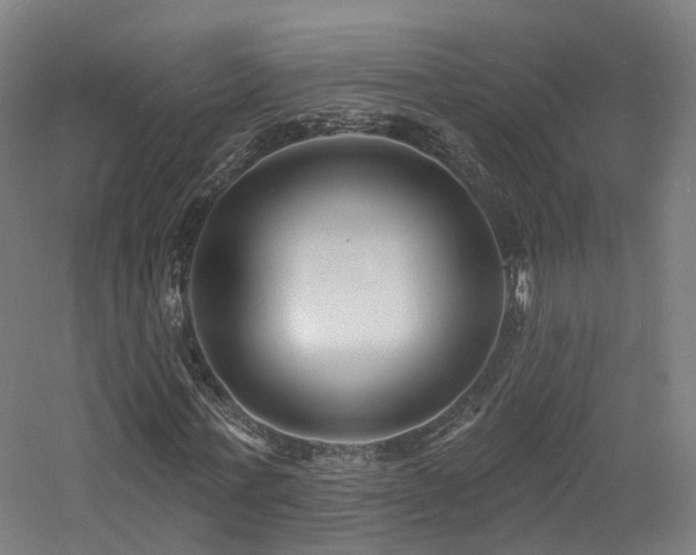 X0000060740771200511101107