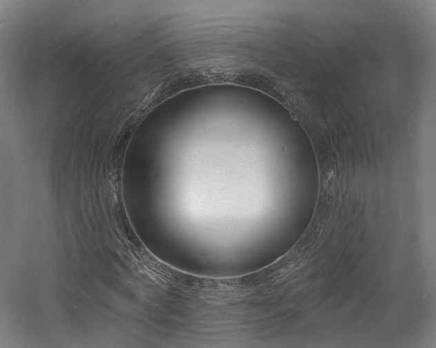 X0000060740772200511101107