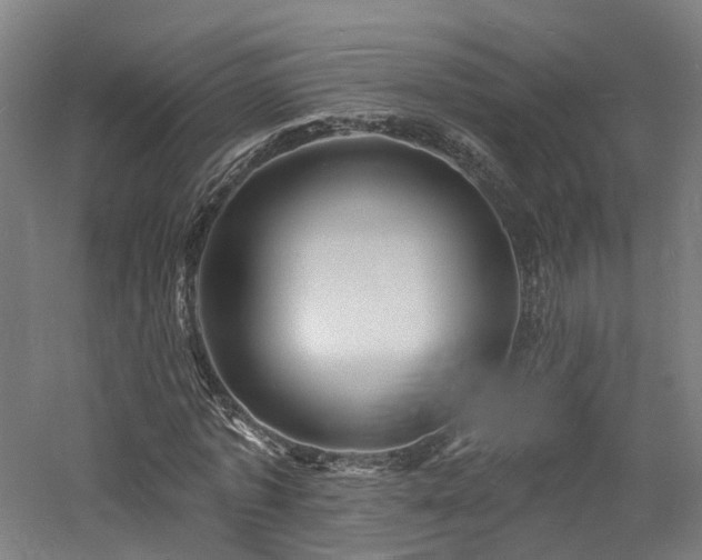 X0000060740773200511101107