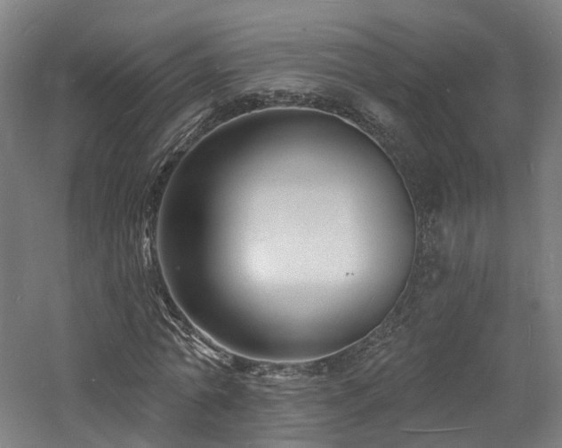 X0000060740774200511101107