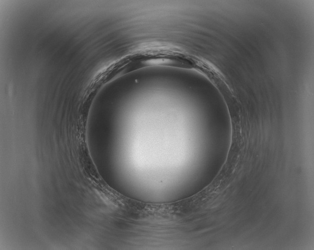 X0000060740775200511101107