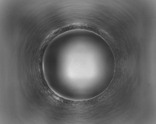 X0000060740776200511101107