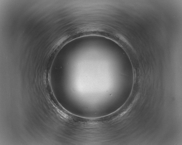 X0000060740777200511101107