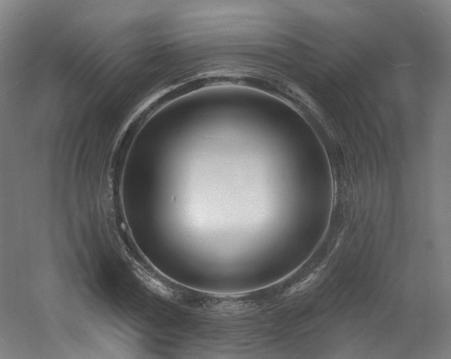 X0000060740779200511101107