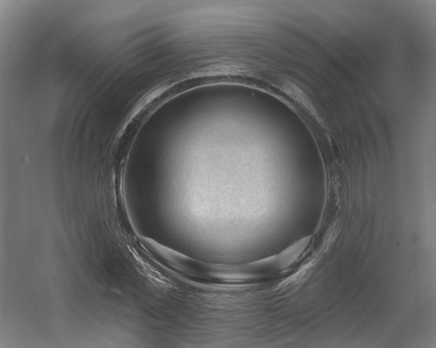 X0000060740781200511101107