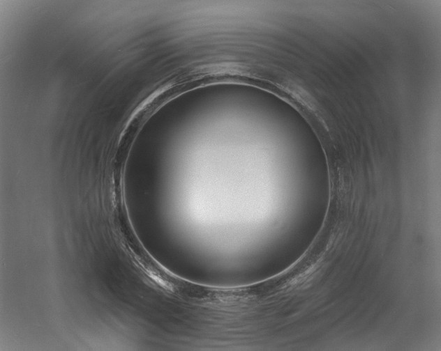 X0000060740782200511101107