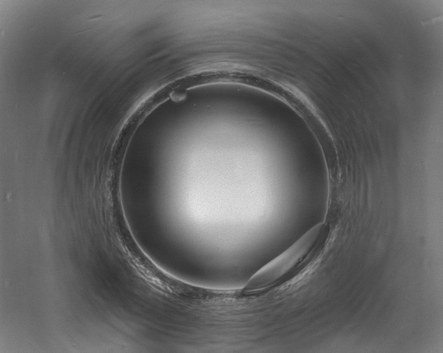 X0000060740783200511101107