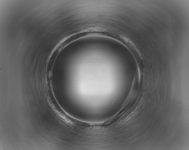 X0000060740784200511101107