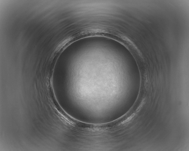 X0000060740785200511101107