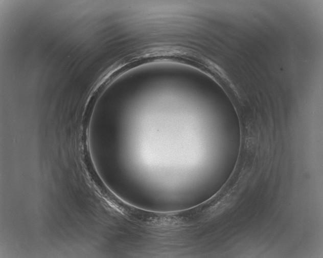 X0000060740786200511101106