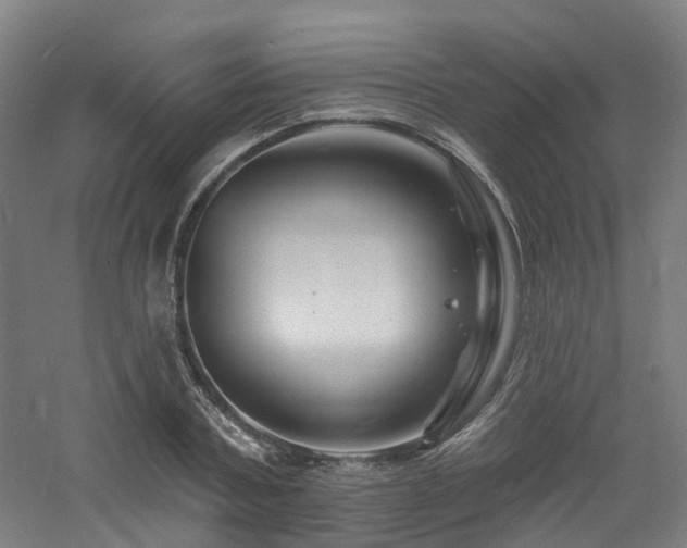 X0000060740787200511101106