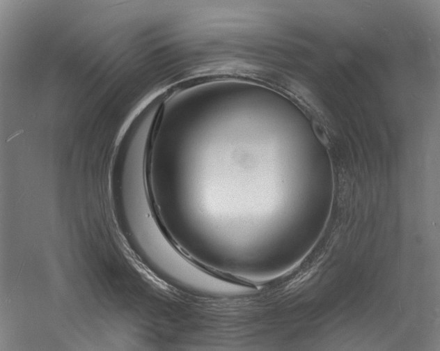 X0000060740788200511101106