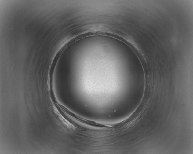 X0000060740791200511101106