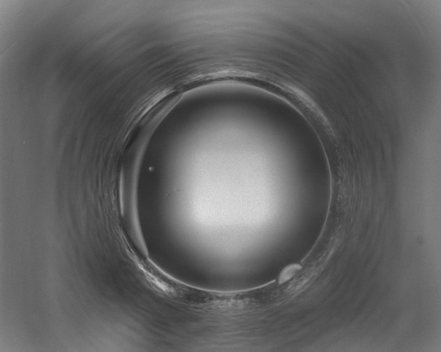 X0000060740793200511101106