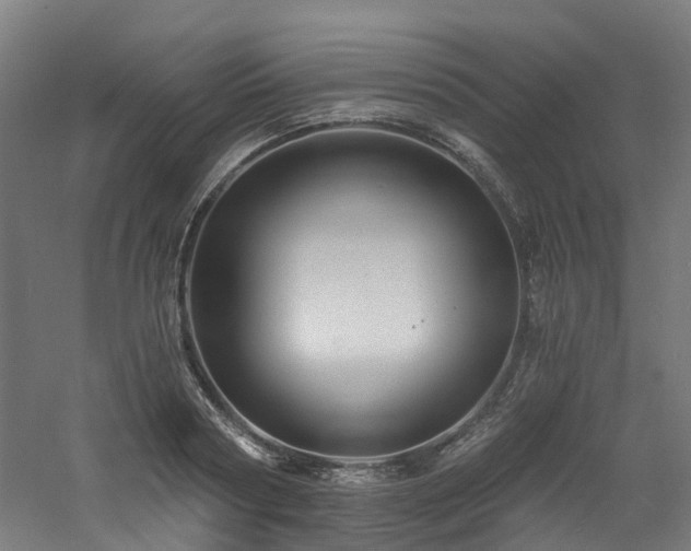 X0000060740794200511101106