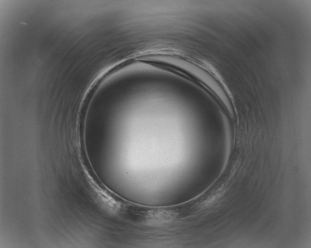 X0000060740795200511101106