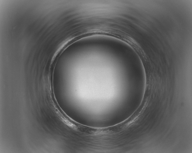 X0000060740796200511101106