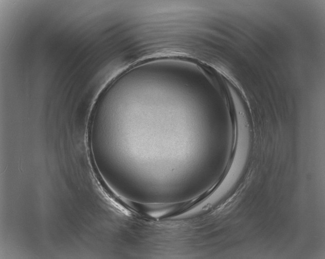 X0000060740797200511101106