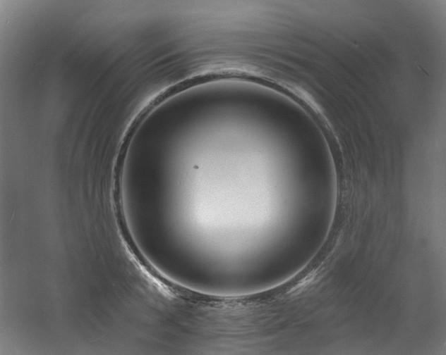 X0000060740799200511101106