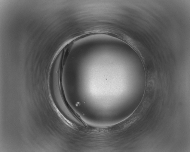 X0000060740803200511101106