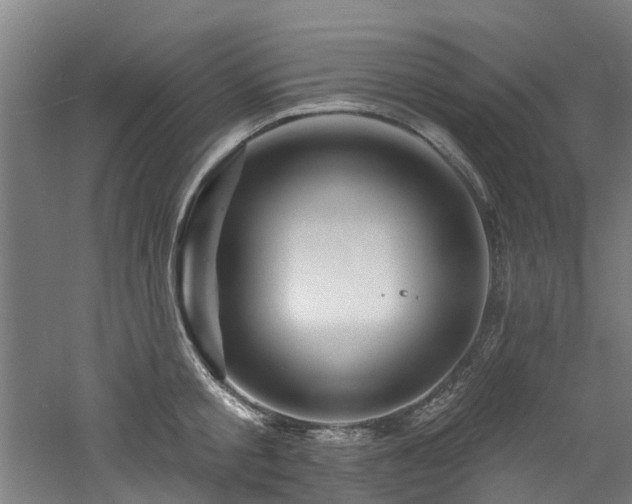 X0000060740805200511101106