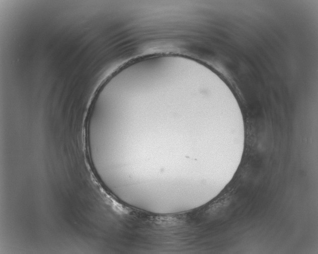 X0000060740807200511101106