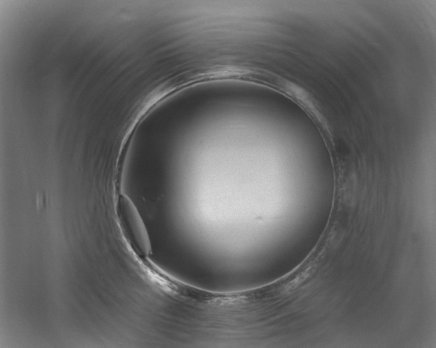 X0000060740810200511101106