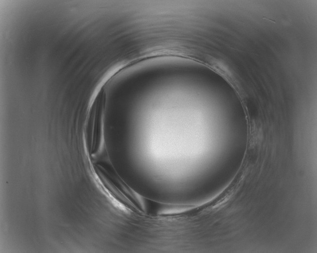 X0000060740812200511101106