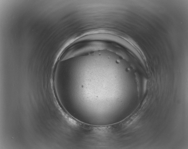 X0000060740813200511101106