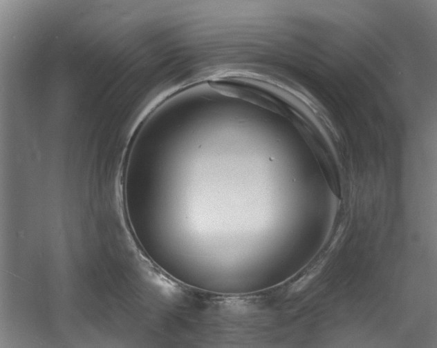 X0000060740814200511101106