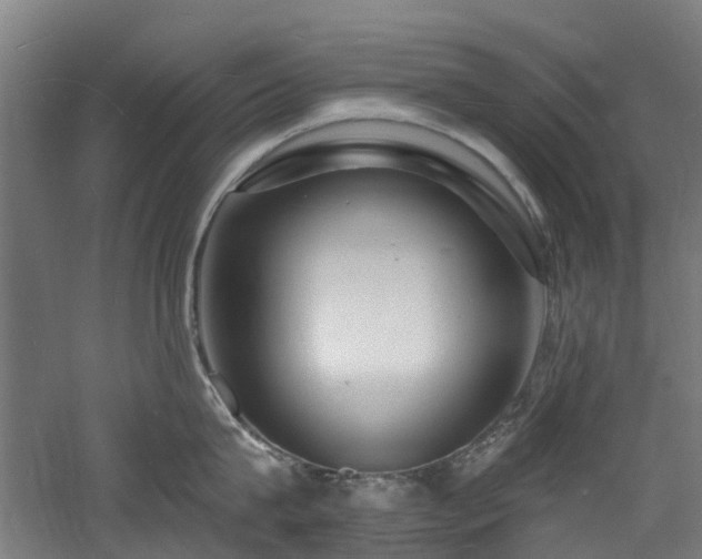 X0000060740815200511101106