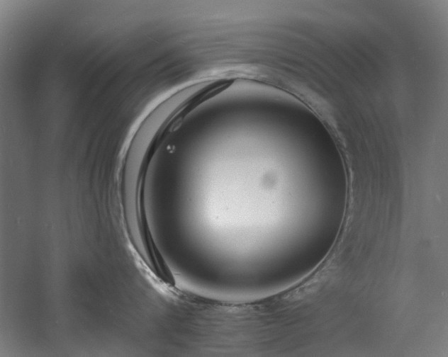 X0000060740816200511101106