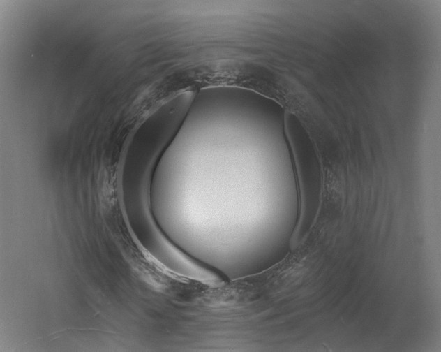 X0000060740818200511101105