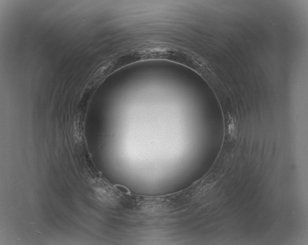 X0000060740819200511101105