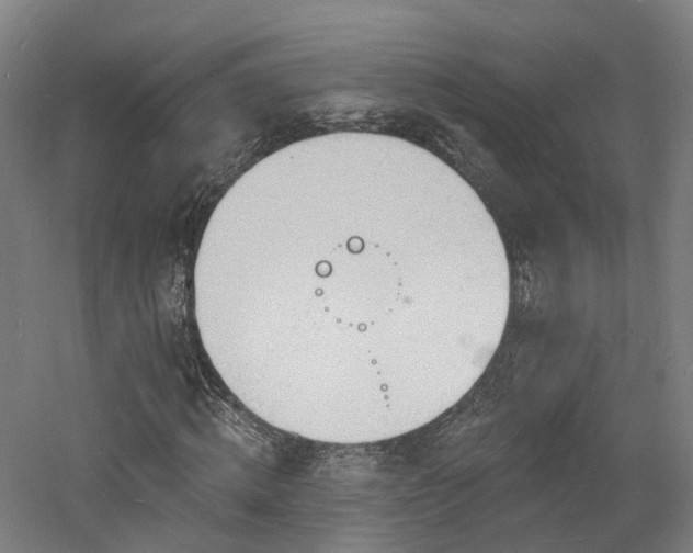 X0000060740820200511101105