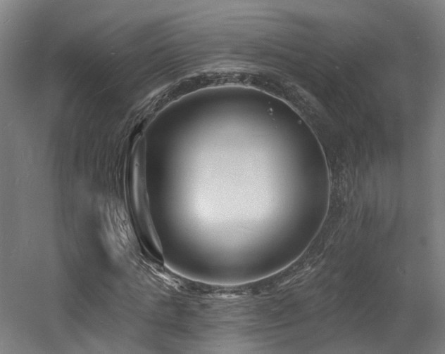 X0000060740821200511101105