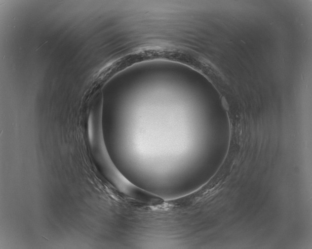 X0000060740822200511101105