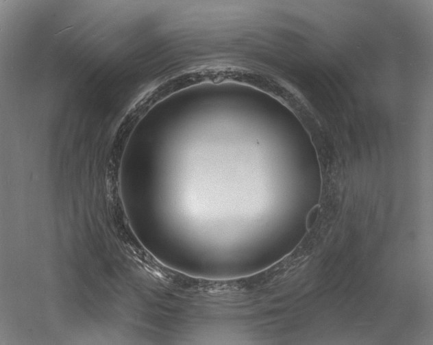 X0000060740823200511101105