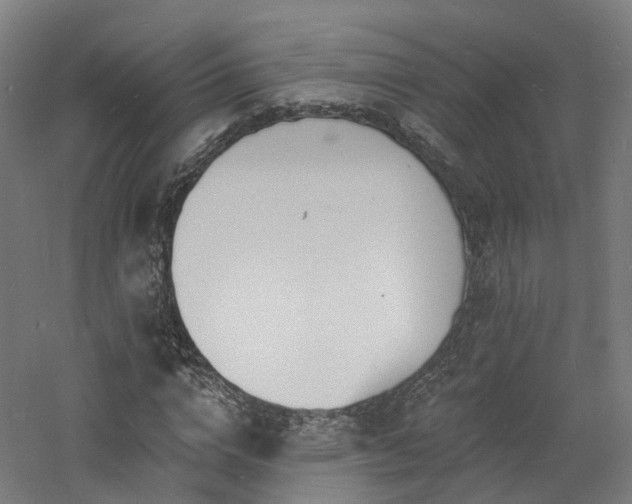 X0000060740824200511101105