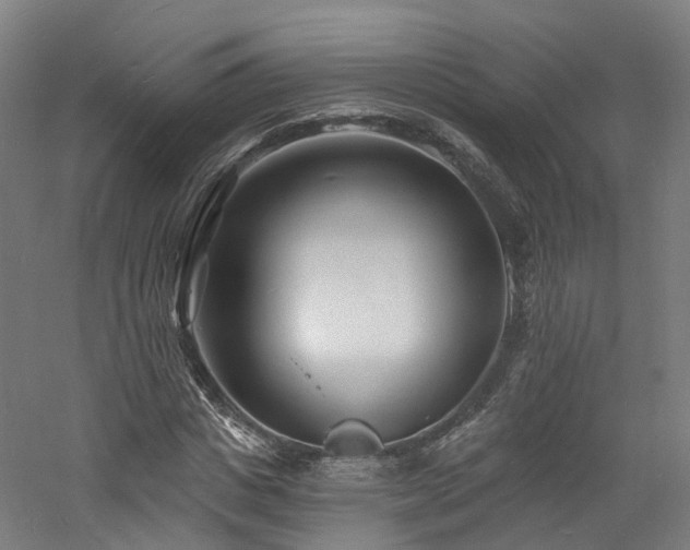 X0000060740825200511101105