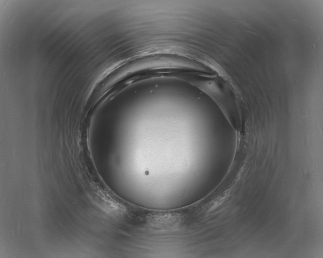 X0000060740826200511101105