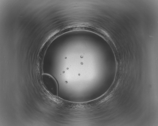 X0000060740827200511101105