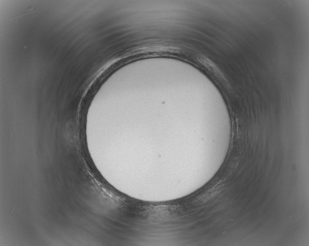 X0000060740828200511101105