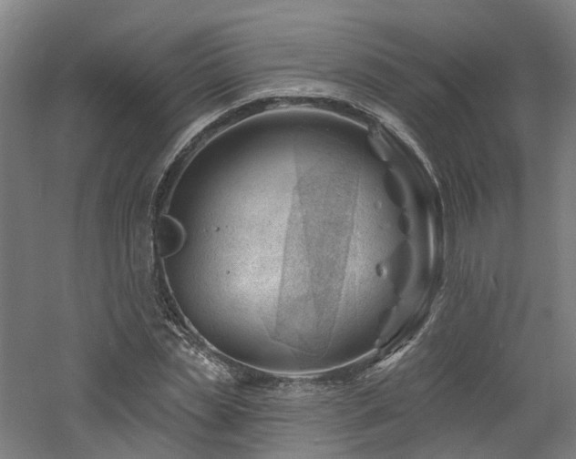 X0000060740829200511101105